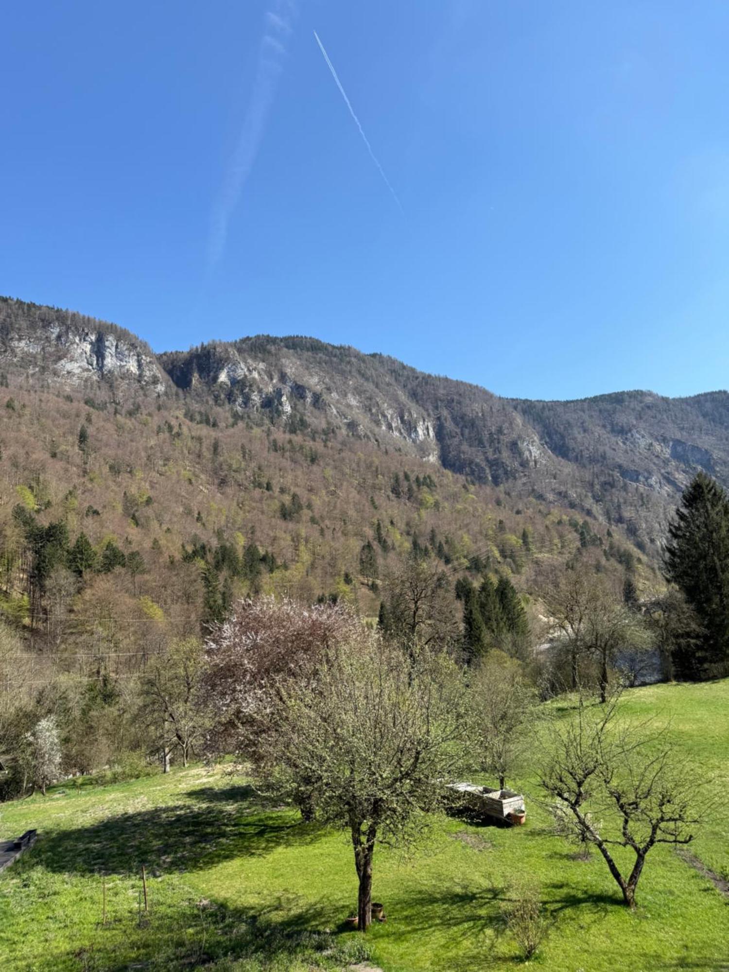 4 Elements Resort Bled Bohinjska Bela Exterior foto